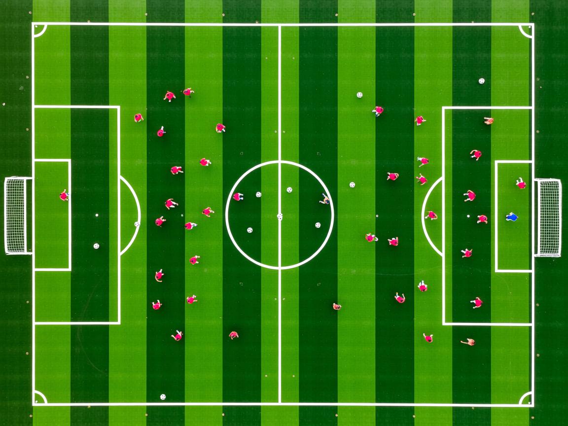 九游官网入口下载-“世界游泳锦标赛游泳项目，哪些选手能脱颖而出？”