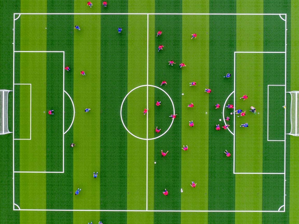 九游娱乐在线-体能训练和乒乓球技术结合走向新高度，乒乓球体能技能的训练手段  第2张