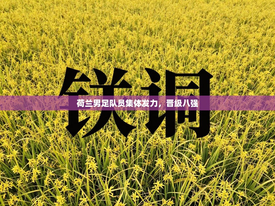 荷兰男足队员集体发力，晋级八强