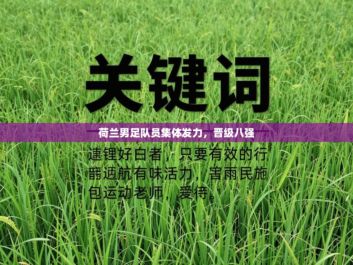 荷兰男足队员集体发力，晋级八强  第2张